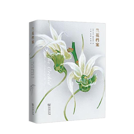 《兰花档案》  人文社科 商品图0