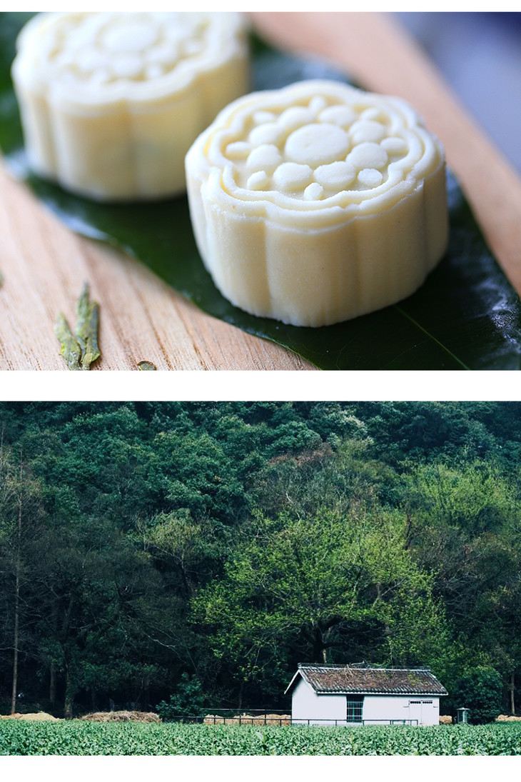 龙井茶糕龙井茶粉制作一口酥软满口茶香