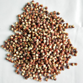 熟芡实（5斤装）