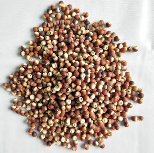 熟芡实（5斤装） 商品图0