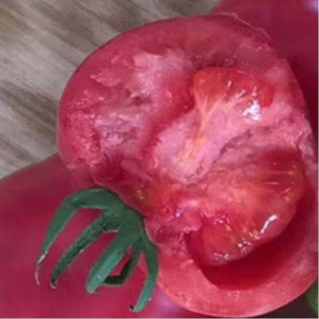 原生态种植香甜多汁的普罗旺斯西红柿4斤