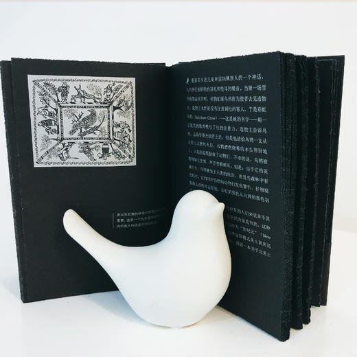 乌鸦//守望者•物灵系列 商品图4