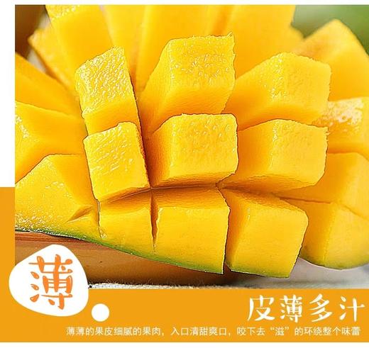 预售隔天到货水仙芒果一箱 商品图2