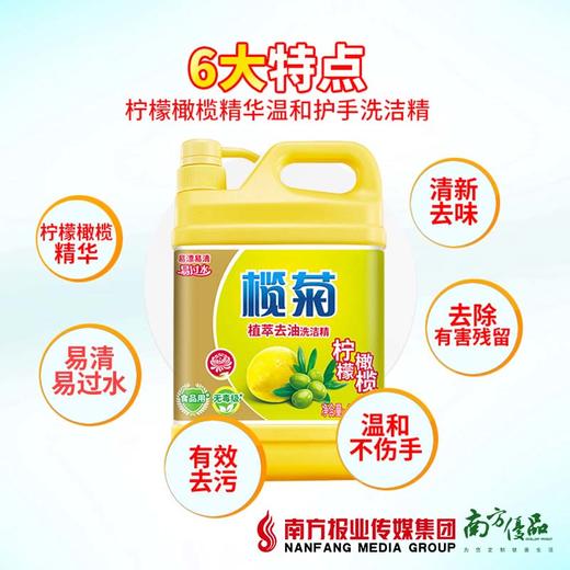 【次日提货】榄菊 柠檬橄榄洗洁精  1.125kg/瓶 商品图1