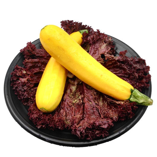 【暂时无货】黄节瓜7元/斤 商品图1