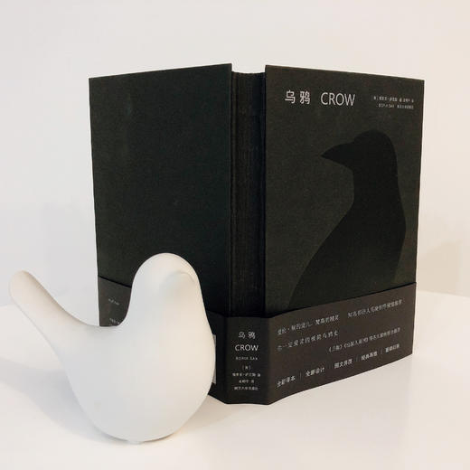 乌鸦//守望者•物灵系列 商品图2