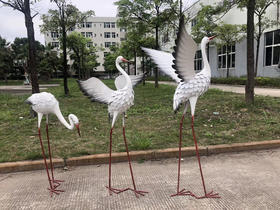 白鹭【运费自理】