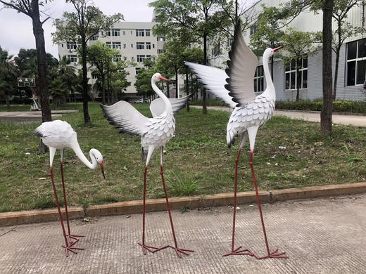 白鹭【运费自理】 商品图0