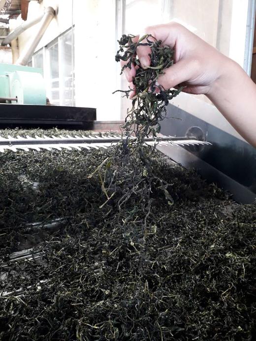 【茶馆茶叶】【金露香萱】第2期丨金龙茶丨略有梗 不谈外形  注重口感满分 商品图1