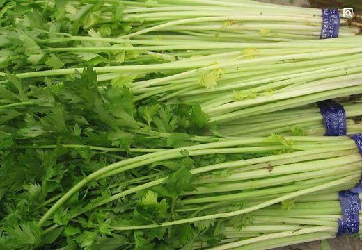 【暂时无货】野山芹 500g/8元 商品图2