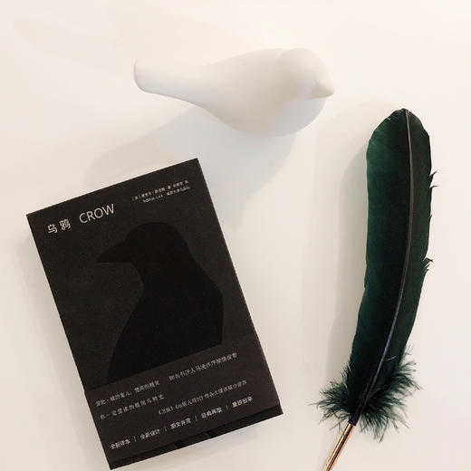 乌鸦//守望者•物灵系列 商品图5