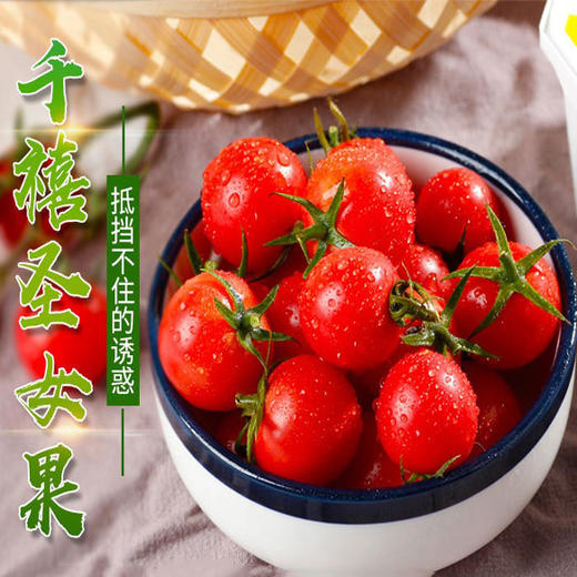 山东千禧圣女果新鲜农家樱桃小番茄现摘现发5斤