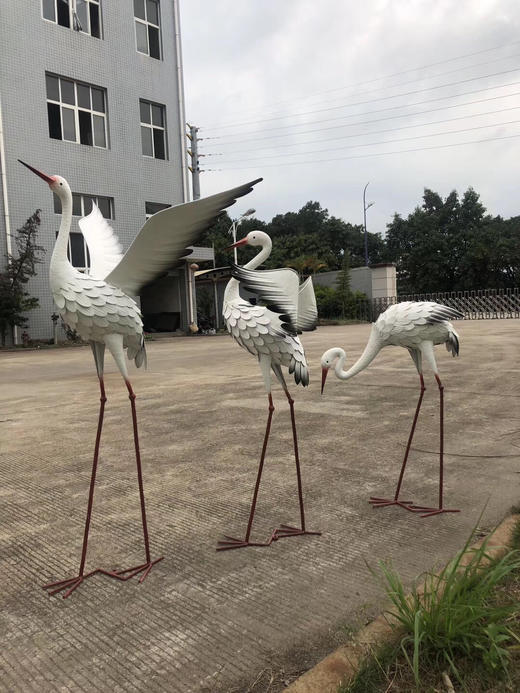 白鹭【运费自理】 商品图1