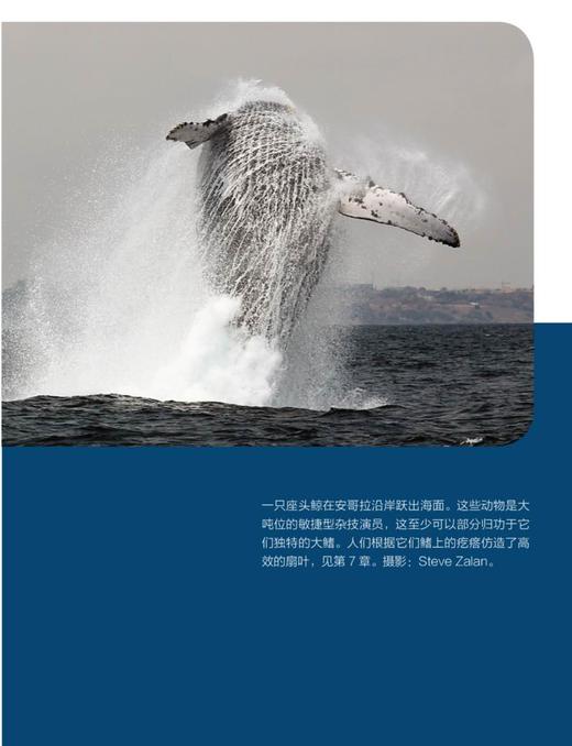 湛庐┃极端生存：首次探秘海洋里的10种神奇的极端生命 商品图5