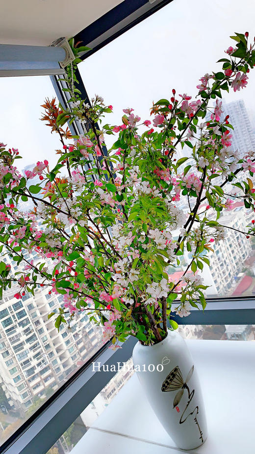 Sakura贩卖春天~~樱花6~8枝（含瓶器）（春季产品，详询客服） 商品图0