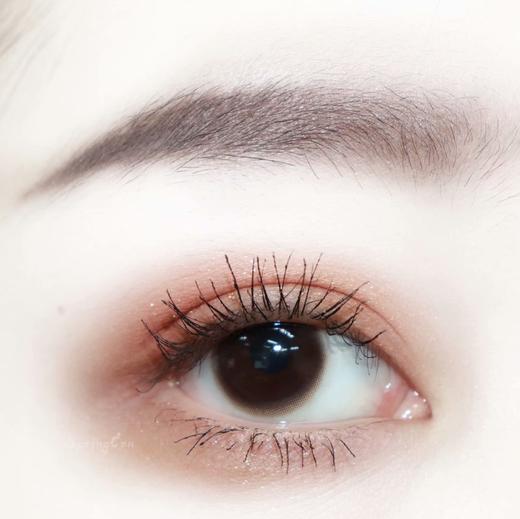 springcon x abucon 小暖咖 日常素颜 14.0 年抛， 含硅水凝胶 商品图2