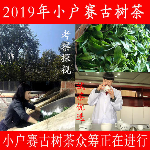 （众筹）2019年小户赛古树春茶 商品图0