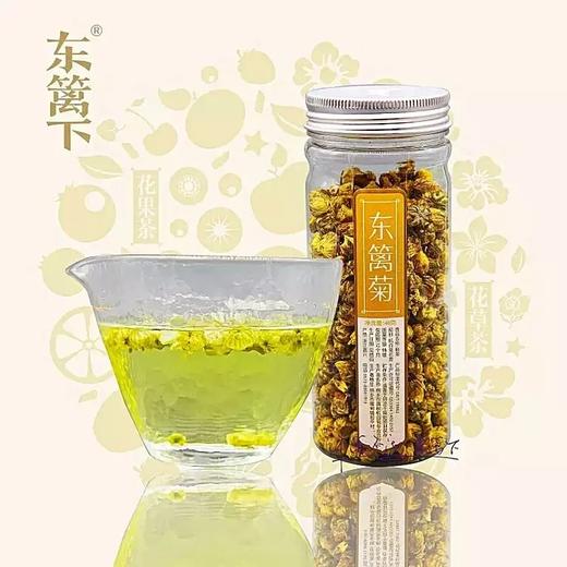 东篱下东篱菊40g 商品图4