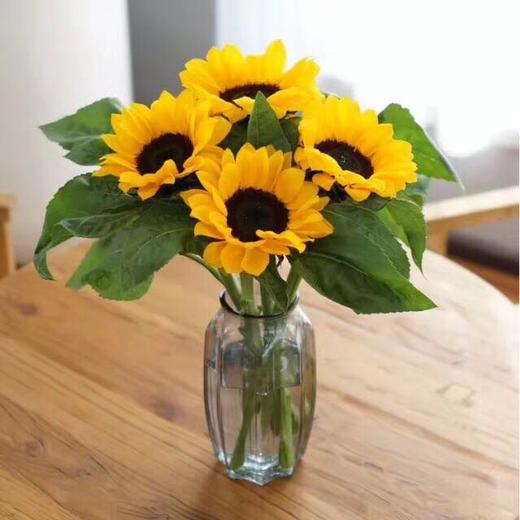 lzh向日葵中大花5支