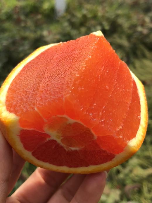 美国新奇士caracara血橙 大果 |纯真红色果肉,细嫩到入口即化,香甜水