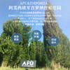 【AFU】阿芙丝柏精油10ml 商品缩略图3