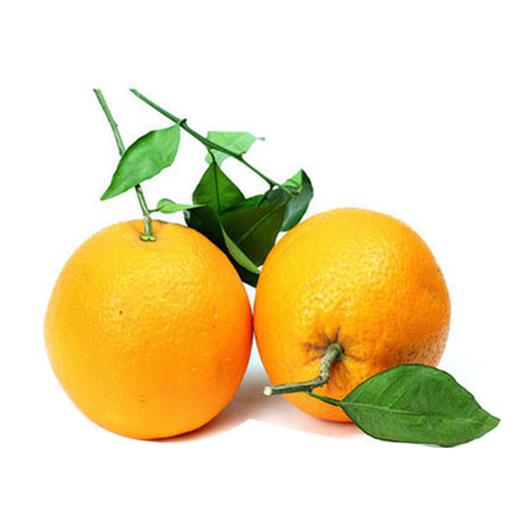 （测试）伦晚甜橙 商品图0