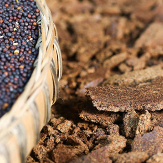 【菜籽油就要吃新鲜的，只做当季】岫云村丨农家菜籽油 2L 商品图3