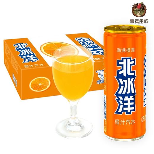 北冰洋 商品图0