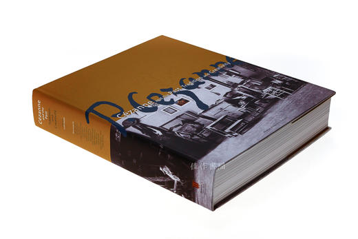 Cezanne & the Past/塞尚、传统与创新 商品图1