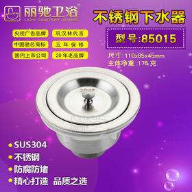 丽驰 水槽（菜盆）下水器 不锈钢85015