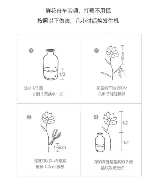 【白雪公主】白色玫瑰4 香槟玫瑰3 白色乒乓菊2 随机送白色青梅 商品图1