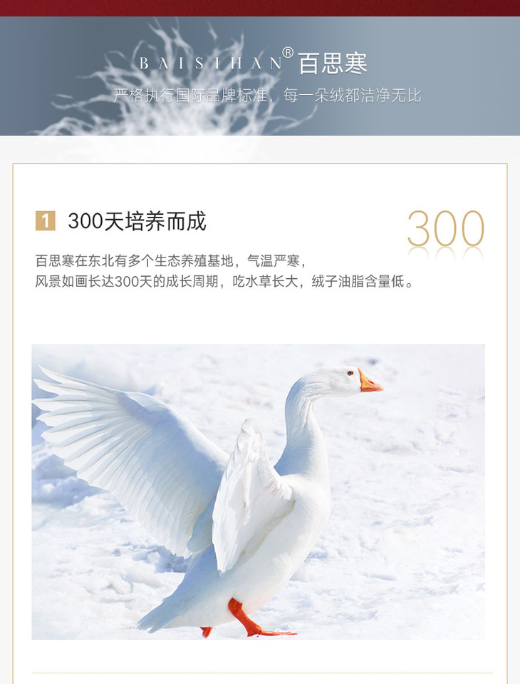 粉丝内购会百思寒羽绒被95白鹅绒加厚冬被婚庆定制喜被双人保暖羽绒被