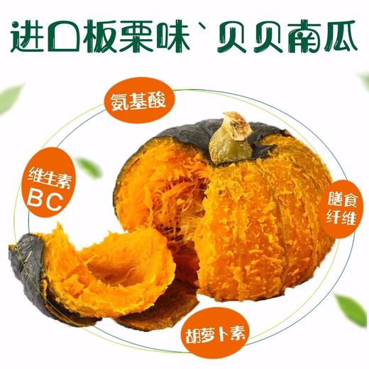 【新进品种 多种维生素 】贝贝南瓜 板栗南瓜迷你小南瓜 商品图2