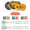【新进品种 多种维生素 】贝贝南瓜 板栗南瓜迷你小南瓜 商品缩略图8