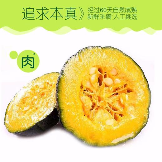 【新进品种 多种维生素 】贝贝南瓜 板栗南瓜迷你小南瓜 商品图7