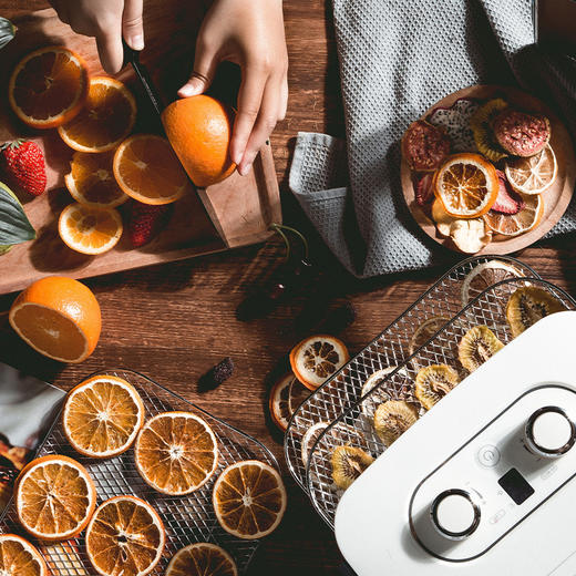 摩飞干果机MR6255 水果烘干机家用食品风干机小型宠物零食蔬果干机 商品图2