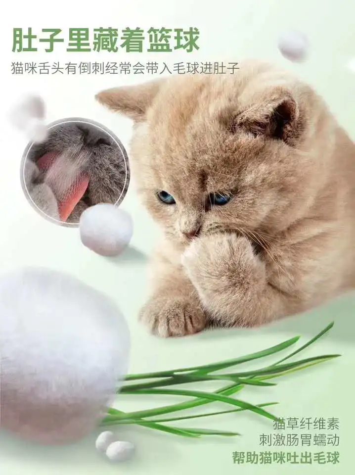 信明天猫草种子猫零食去毛球化毛膏猫草水培种籽种植套装包邮