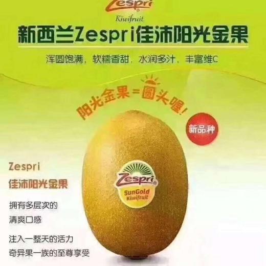 【佳沛奇异果.金果】VC小巨人，口感甜滑 商品图2