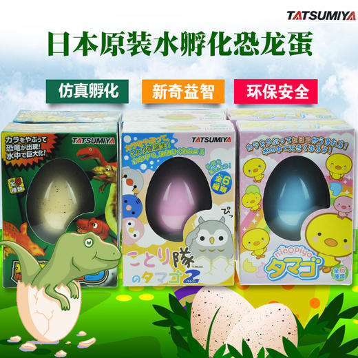 日本辰巳屋泡水孵化恐龙蛋变形魔法蛋幼儿园新奇益智玩具礼物抖音同款 商品图0