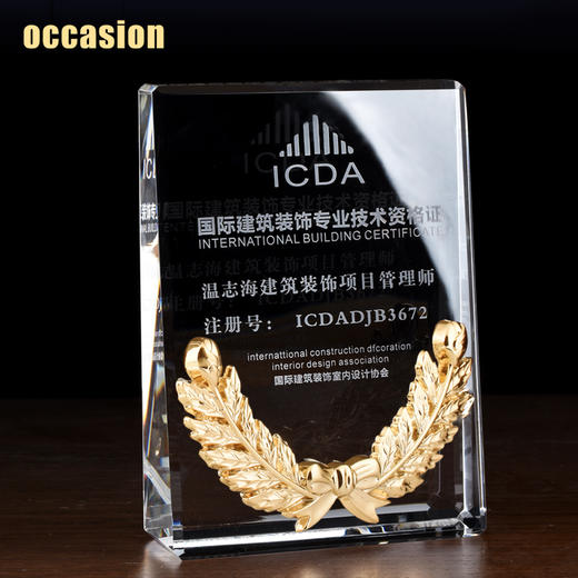 水晶奖杯定制创意奖牌定做荣誉牌匾高档奖品制作经销商代理证书 商品图2