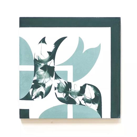 进口水泥花砖 CT009 商品图2