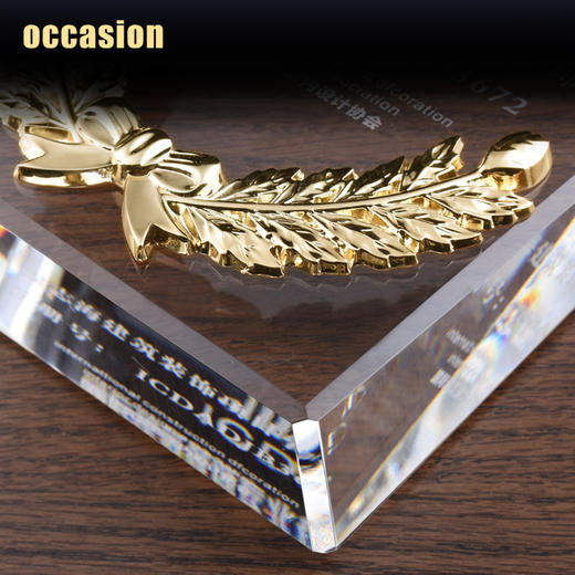 水晶奖杯定制创意奖牌定做荣誉牌匾高档奖品制作经销商代理证书 商品图4