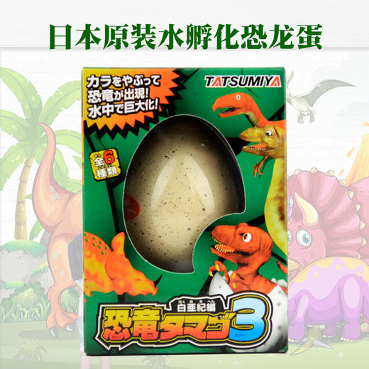 日本辰巳屋泡水孵化恐龙蛋变形魔法蛋幼儿园新奇益智玩具礼物抖音同款 商品图3