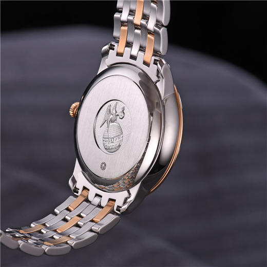 欧米茄 OMEGA 碟飞系列自动机械男士腕表 手表 424.20.37.20.03.002 商品图4