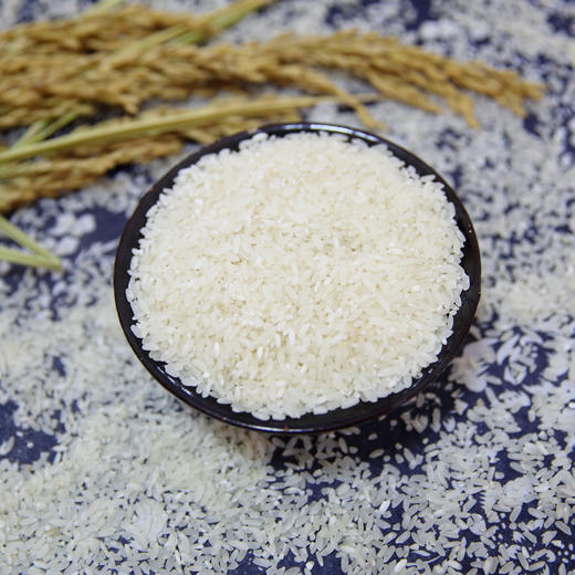 建德钦堂大米杭州种粮大户带来100吨浙江好大米