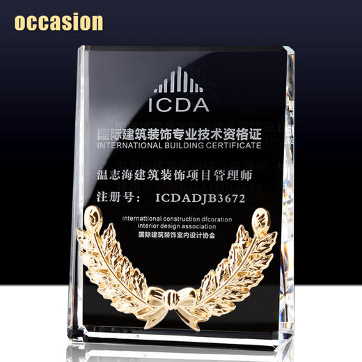 水晶奖杯定制创意奖牌定做荣誉牌匾高档奖品制作经销商代理证书 商品图1