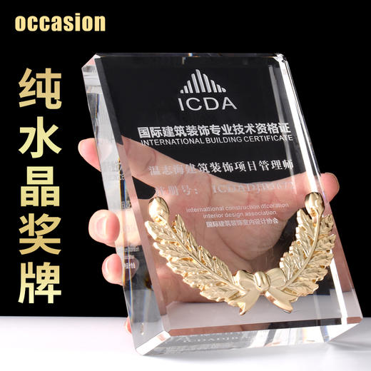 水晶奖杯定制创意奖牌定做荣誉牌匾高档奖品制作经销商代理证书 商品图0