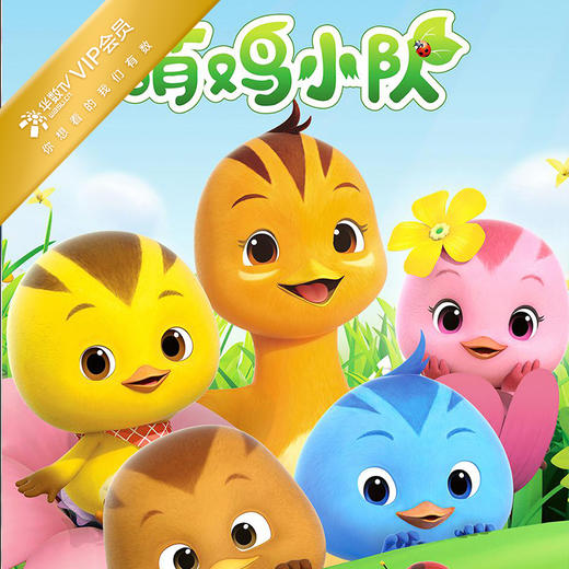 备注userkey会员码华数vip会员24个月华数vip会员两年