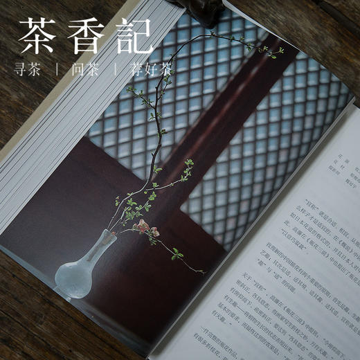 茶香记 《瓶花之美》 九州出版社 插花艺术 中国传统文化 经典美学 商品图4