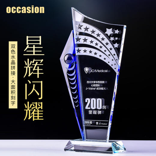 水晶奖杯定制定做优秀员工创意高档奖牌授权牌刻字荣誉纪念品制作 商品图0